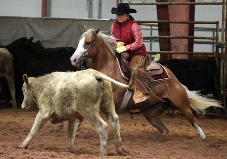 Cutting Horses